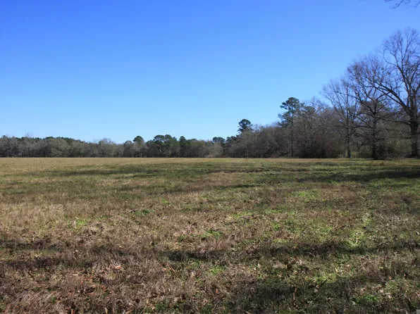 LOT 8 Cook Rd, Slaughter, LA 70777