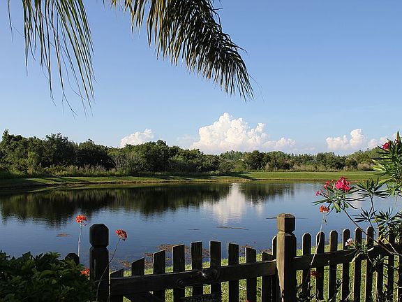 Pond/conservation view