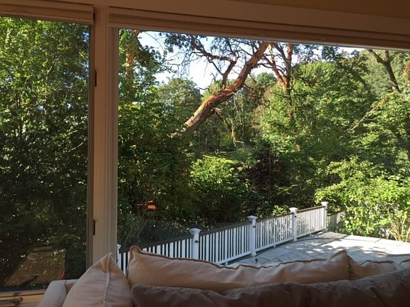 Leschi Park view from living room