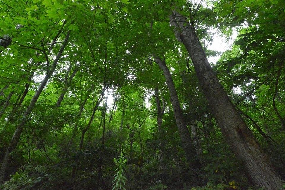 45 Mountain Lake Dr, Murphy, NC 28906 MLS 328748 Zillow