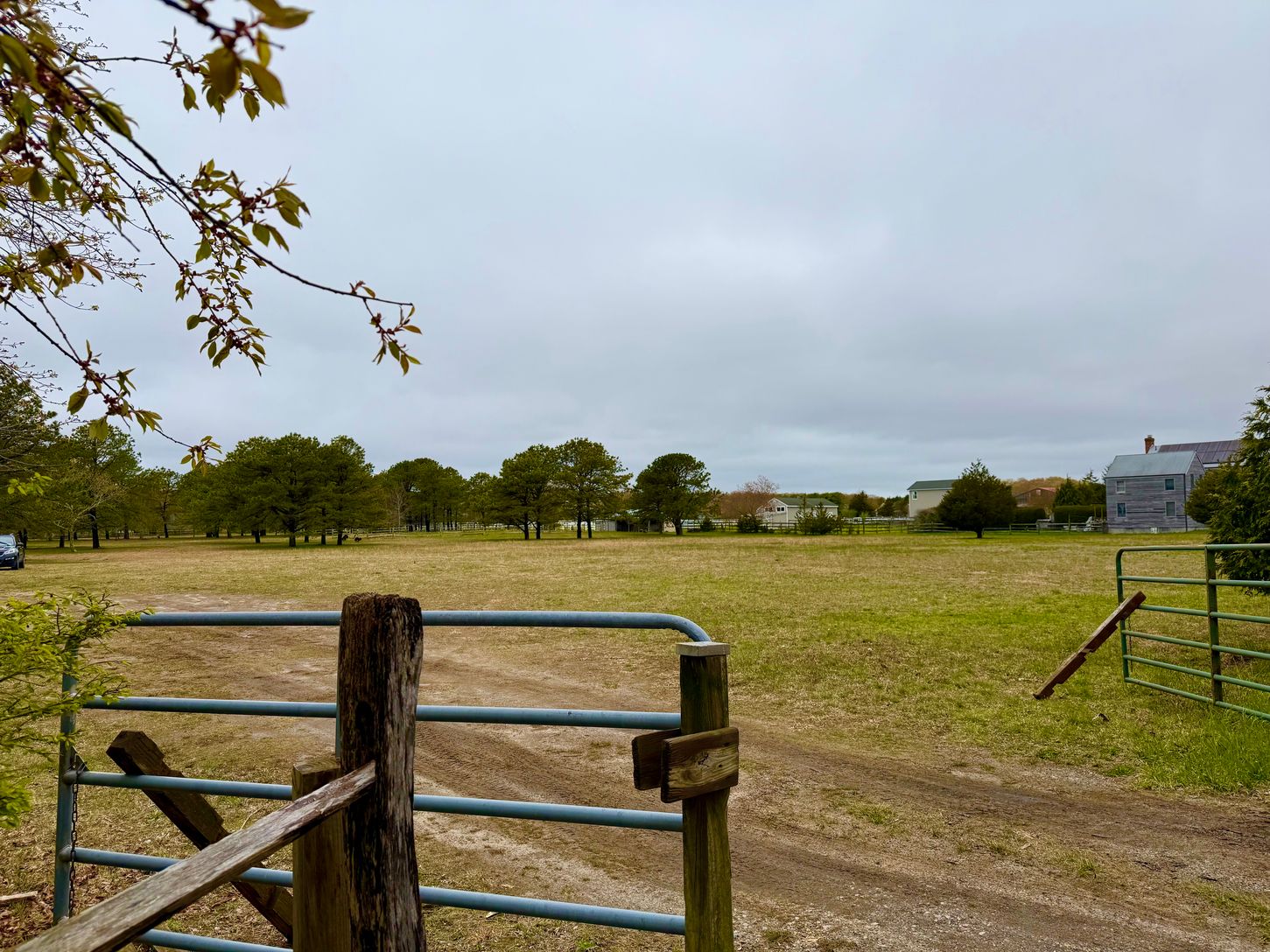  Expansive clear organic farmland