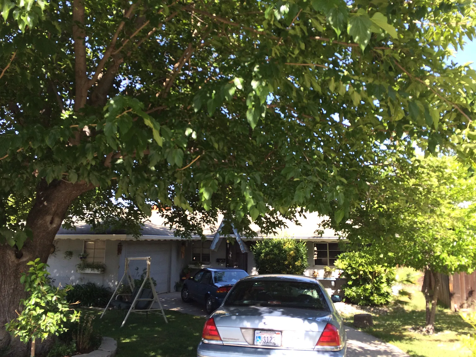 8216 Tanoak Way photo 1