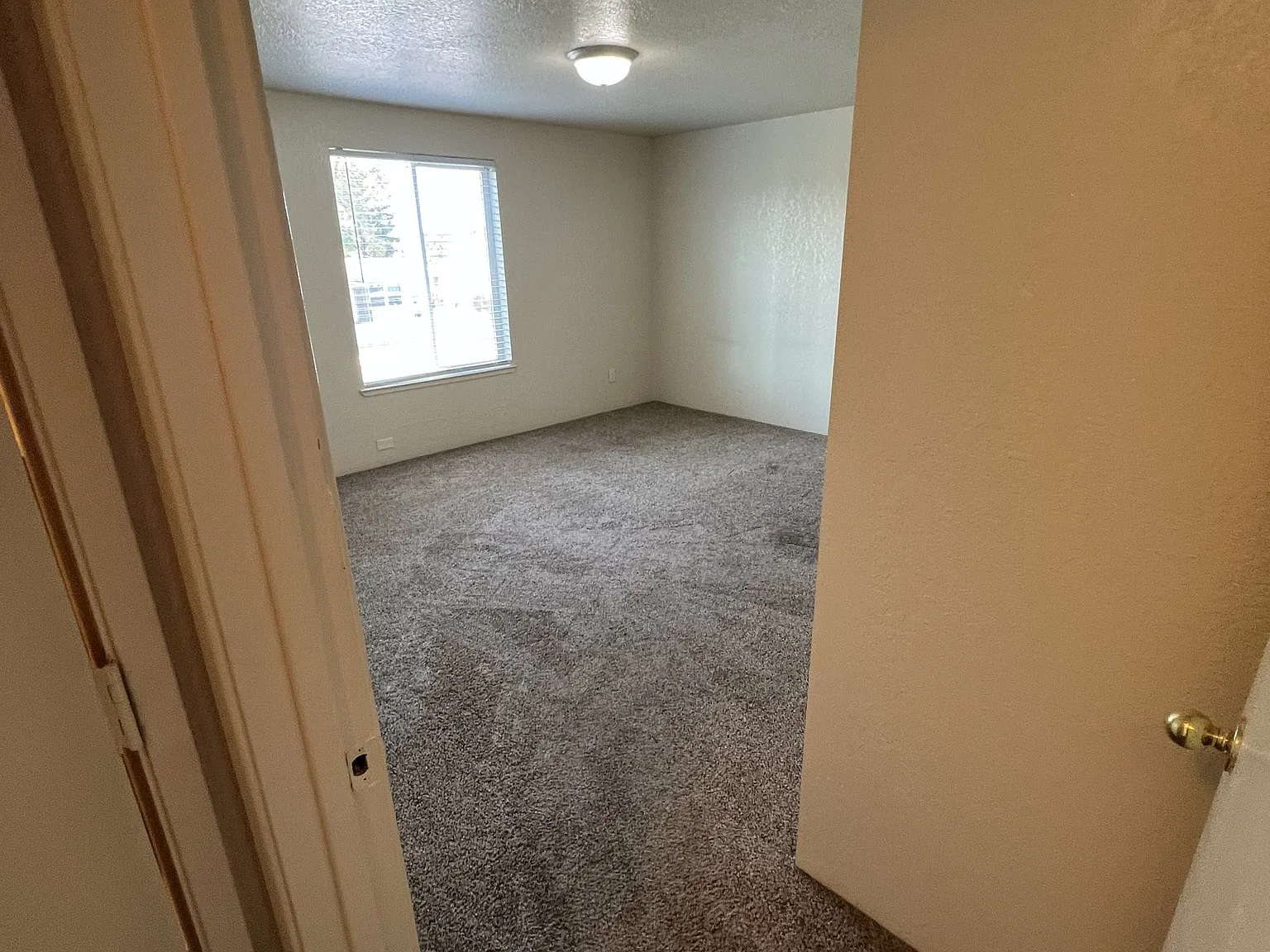 2 bed, 825 sqft, $1,275 — Photo 2