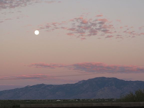 View from the backyard