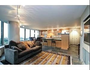 3rd image of 505 N Lake Shore Dr APT 709