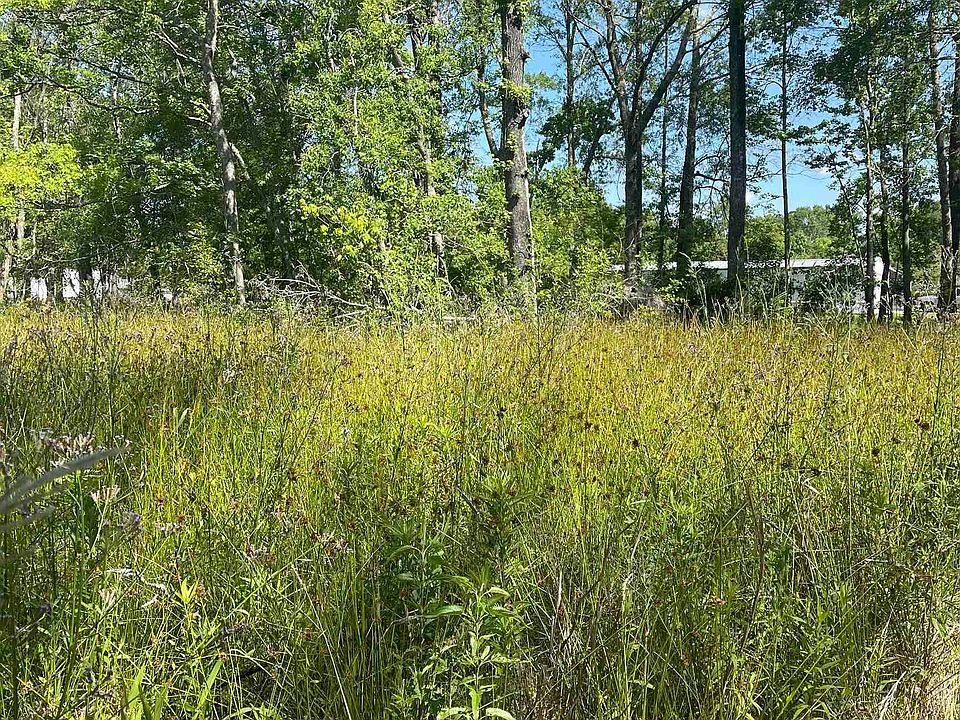 2nd image of Cameron Ln