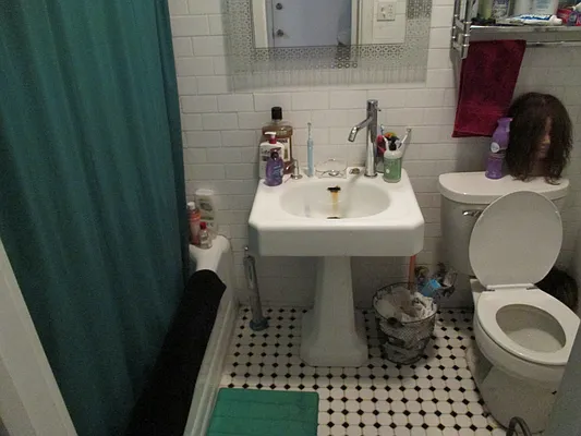 Rented by East Williamsburg Realty Inc | media 5