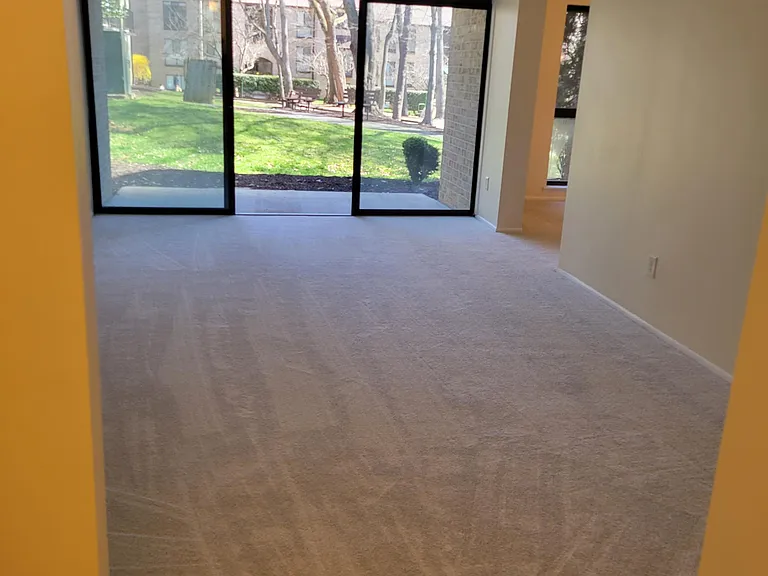 2049 Royal Fern Ct #2B — Photo 6