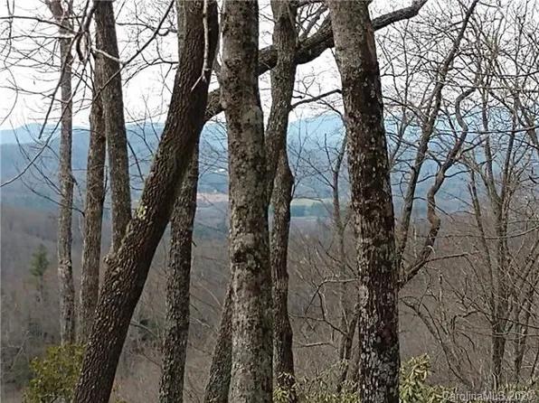 200 Ladys Fern Trl, Laurel Park, NC 28739