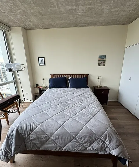 1845 S Michigan Ave #1609 — Photo 22