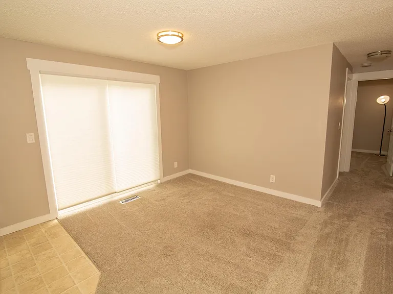 Extra room downstairs with laundry and sliding glass doors to the side yard (and sheds). Great, sunny place for a desk!