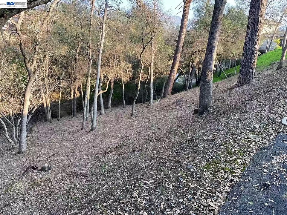 2nd image of 103 Thomson Ln