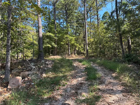 Cane Branch Rd, Western Grove, AR 72685