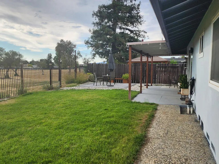 Back yard