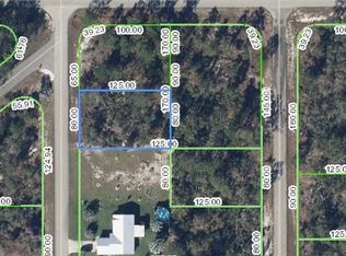 102 Corsica Ave NE, Lake Placid, FL 33852