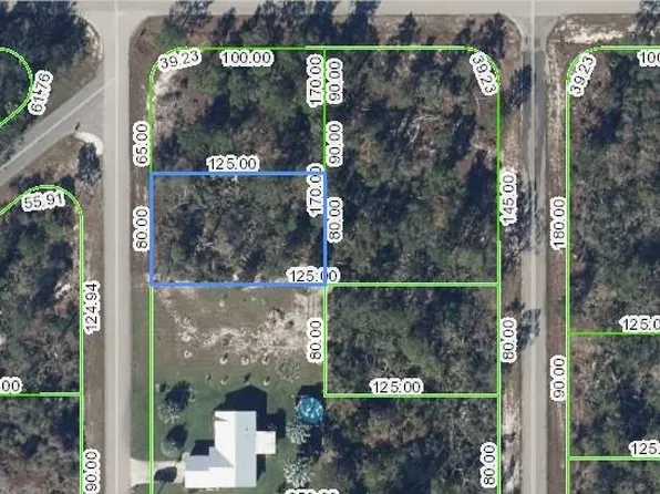102 Corsica Ave NE, Lake Placid, FL 33852