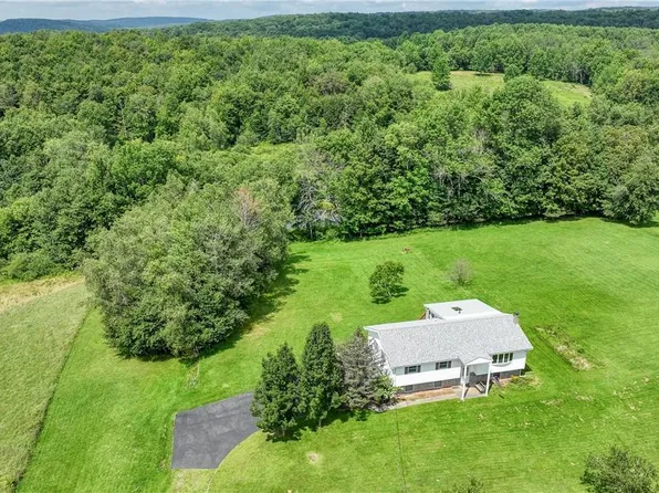 816 Fox Mountain Road, Livingston Manor, NY 12758