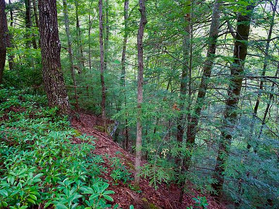 2nd image of Fikes Field Road & Greenfield Rd Lot Wp001