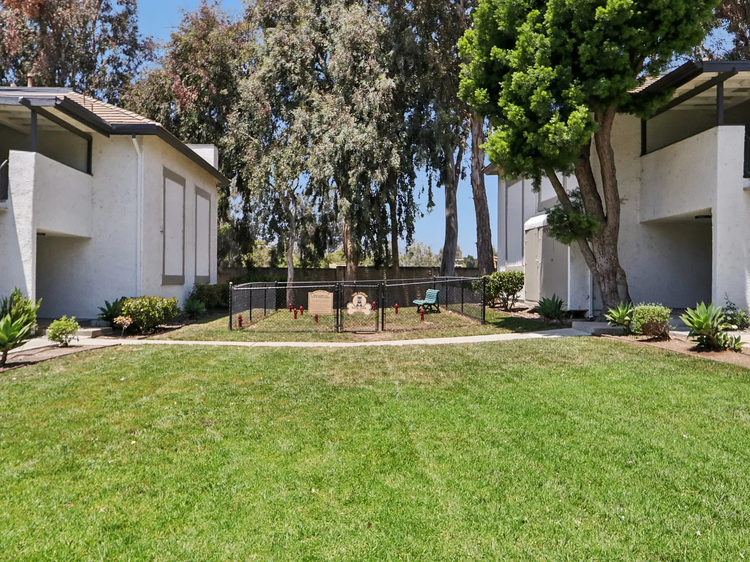 The Linden Apartments — Photo 3