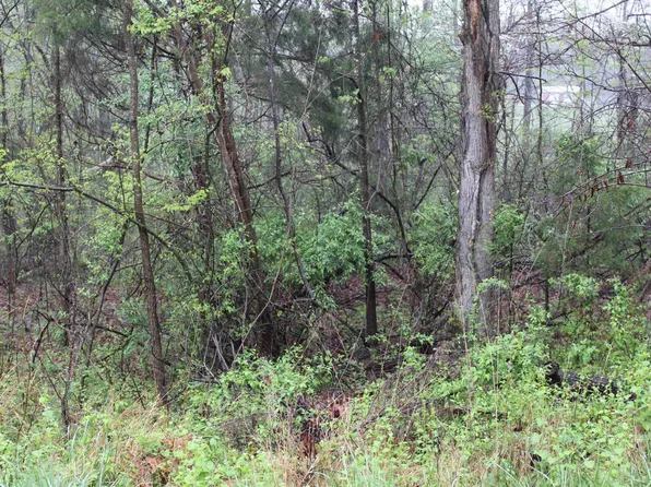 19 Backstrom Hts Lot 19, Eddyville, KY 42038