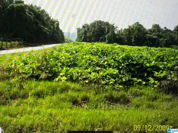 0 Clydesdale Ave #1, Anniston, AL 36201