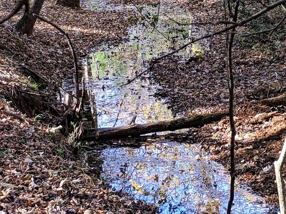 3rd image of County Road 4120