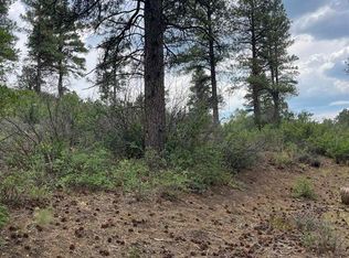 181 River Run Dr, Pagosa Springs, CO 81147