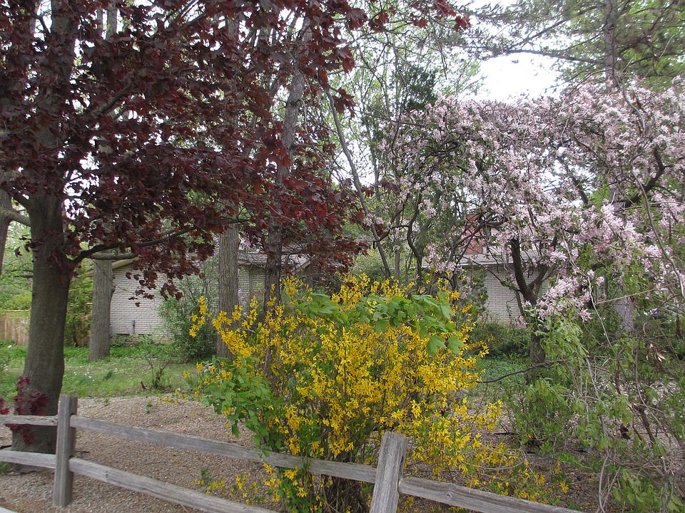 1st image of 3533 Frederick Dr