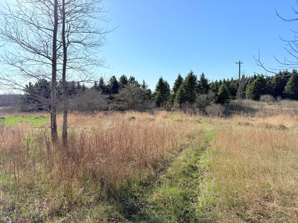 Big Stone Lake Rd, Evart, MI 49631