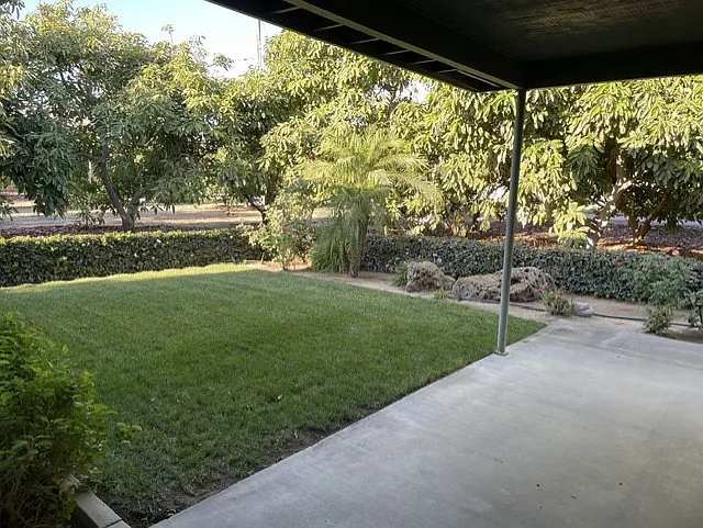 Front yard