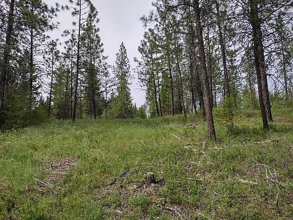 2nd image of X E Jump Off Rd Lot 1