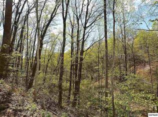 19419 Ski View Ln LOT 194&195, Sevierville, TN 37876
