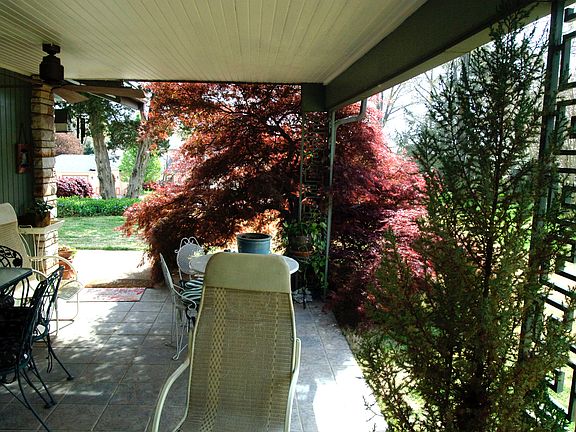 Large covered back patio