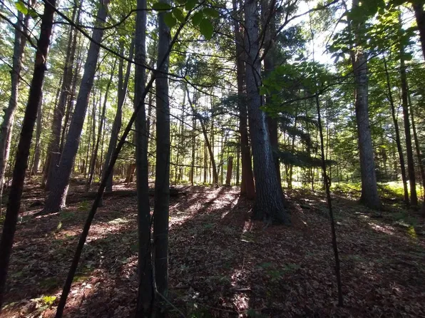 4967 Princess Way, Gladwin, MI 48624