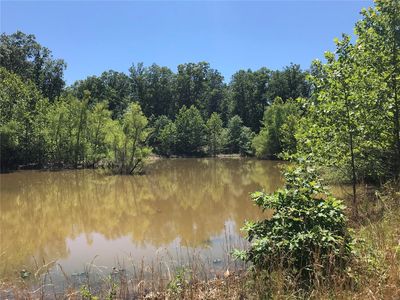 483 Highway 49, Davisville, MO, 65446