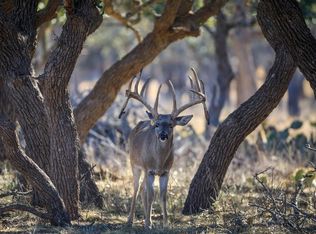 251 Blackjack Ranch Rd, Harper, TX 78631