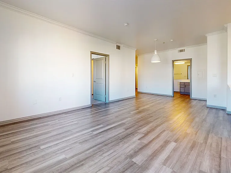 Apartment living room with wood-style flooring.