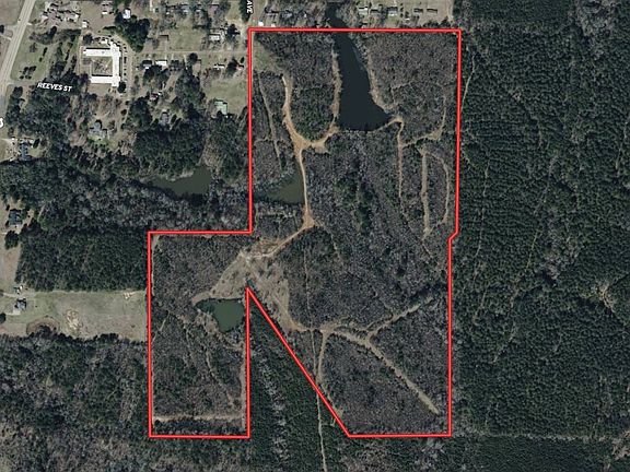 2nd image of 279 Farris Loop