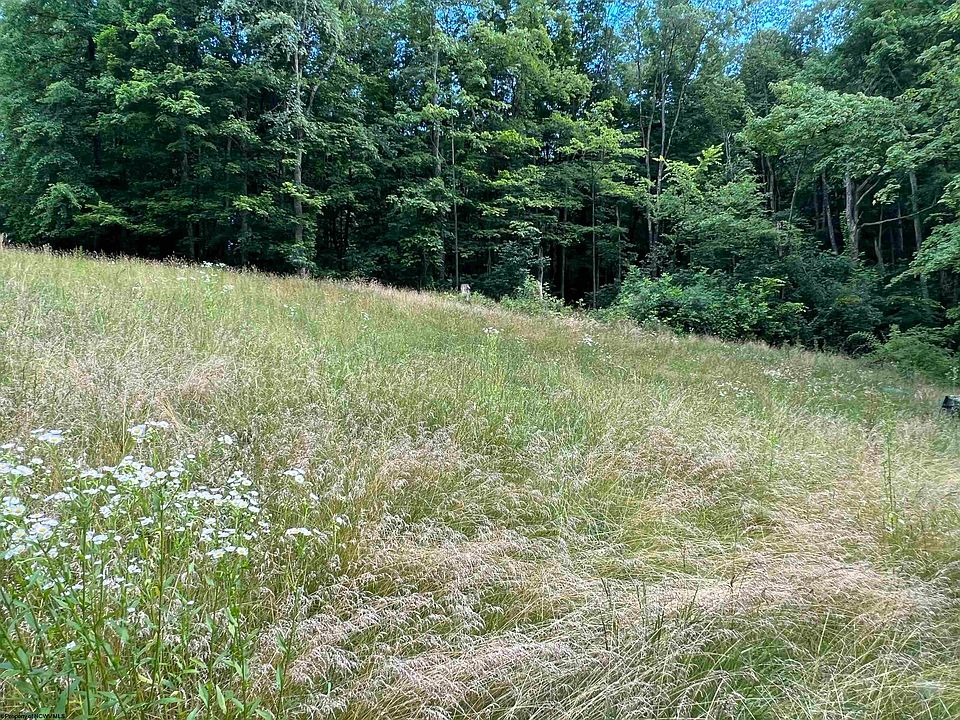 256 Florence Hollow Rd, Mount Clare, WV 26408 Zillow