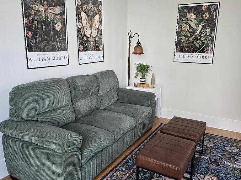 Furnished living room