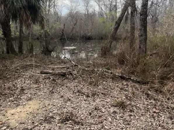 151 Elm St, Wewahitchka, FL 32465