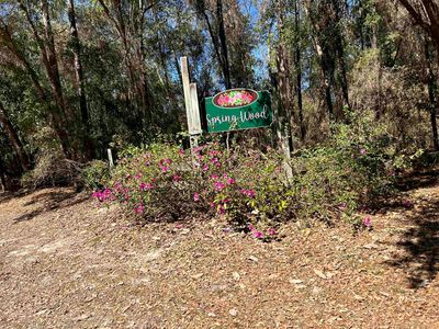 26 Rosewood Rd, Crawfordville, FL, 32327