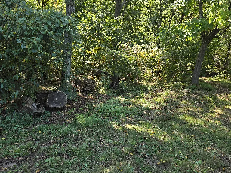 yard