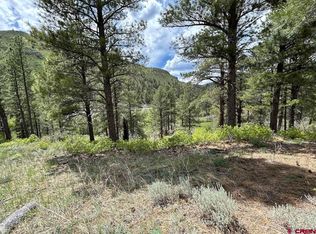 59 Arnica Court, Durango, CO 81301