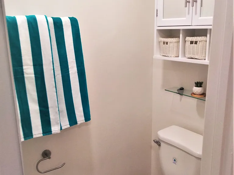 Primary Bathroom (3 Bed 2 Bath)
