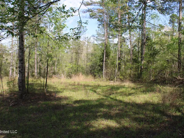 2300 Hamilton Rd, Falkner, MS 38629