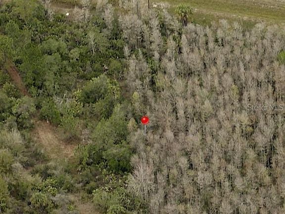 3rd image of E Irlo Bronson Mem Hwy