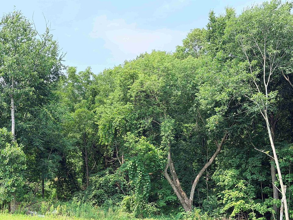 2nd image of Lot 5 Jeb's Way #5