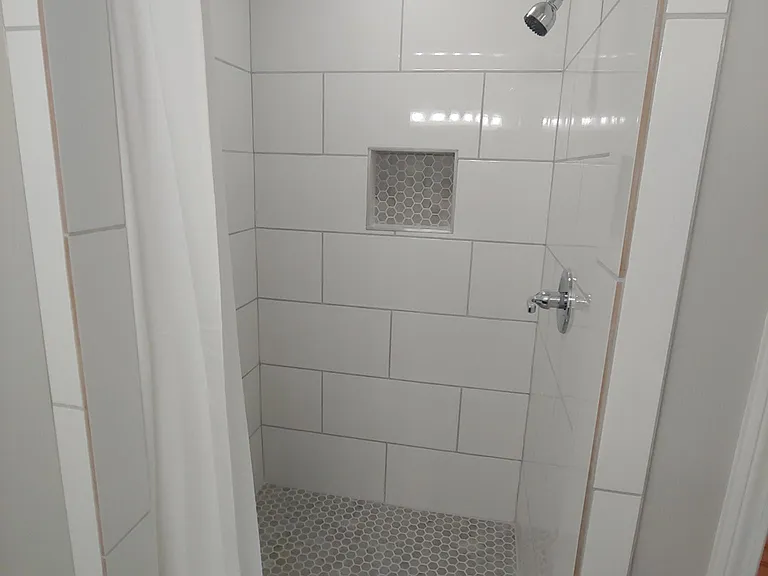 Master Bathroom Shower