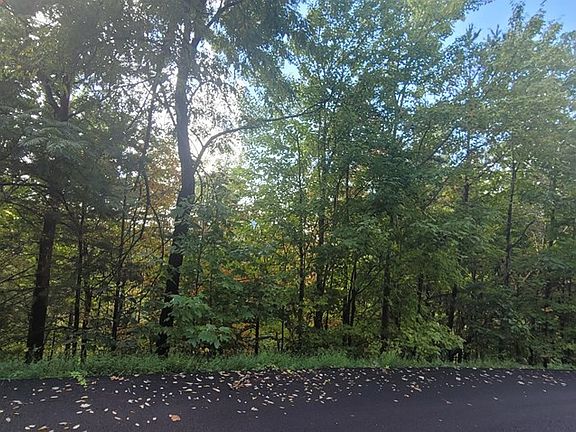 2nd image of 1 Smokies Edge Rd #1